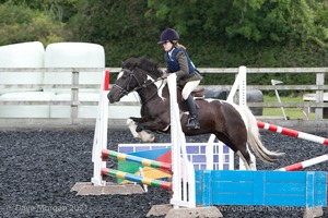 Class 3 -  Fences not above 2'3